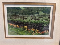 Framed Signed Photograph Sonoma Valley Vineyard by Bob Martin | California Wine