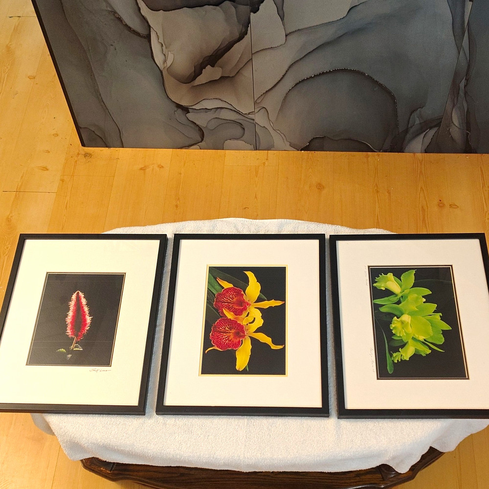 Jack Lima Signed Botanical Flower Photo Triptych Set of 3 Matted & Framed