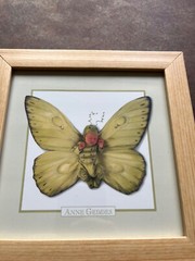 Anne Geddes Framed Photo Alexander As A Butterfly 7×7
