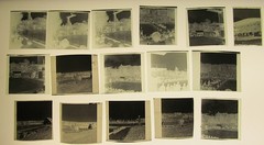 Hamburg? Free Swimming Pool Tower Jumping 16 x Genuine historical negatives