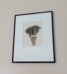 Michael Craven Fine Photography «Broccula» 1994 Signed Framed 70/300 Print 1998
