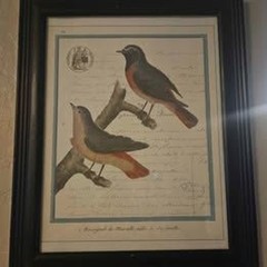Set of 2 Framed Bird Pictures Prints 13″ X 15″
