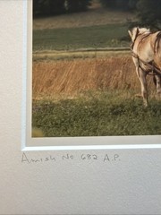 Bill Coleman Signed Amish No 682 AP Matted Photograph Farmers Horse Wagon