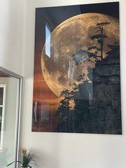 Peter Lik «Moonlit Dreams” Moon – Epic – 12 Foot Picture with COA