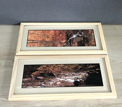 Joseph Barnett Photography Set of 2 Signed Autumn Themed Nature Framed Photos