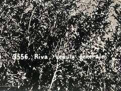27x21cm large album photo around 1890 Riva on Lake Garda in Italy photo