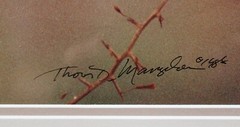 Thomas D Mangelsen Signed & Numbered «African Bee-Eaters» Color Photography
