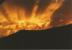 Photograph Art Print