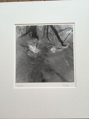 BRUCE BLUM Matted & SIGNED B&W Photo Print (10″X10″)- National Zoo»