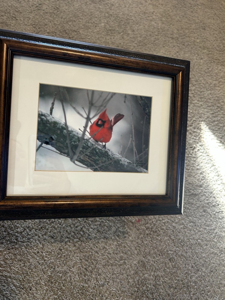 Two Signed Numbered Framed Bird Photographs Cardinal Bluebird By E.J. Kowalski