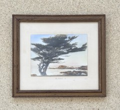 Vtg Gibson Hand Tint Oil Color Photo The Sentinal Cypress Tree 12.75”x11.3/8” VG