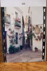 Photographic Images 14″ X 9½» full color Mediterranean art photographs» MF22-24