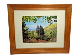 Steamboat Springs Hot Air Balloon Nature Landscape Wood Framed Wall Art lot 3