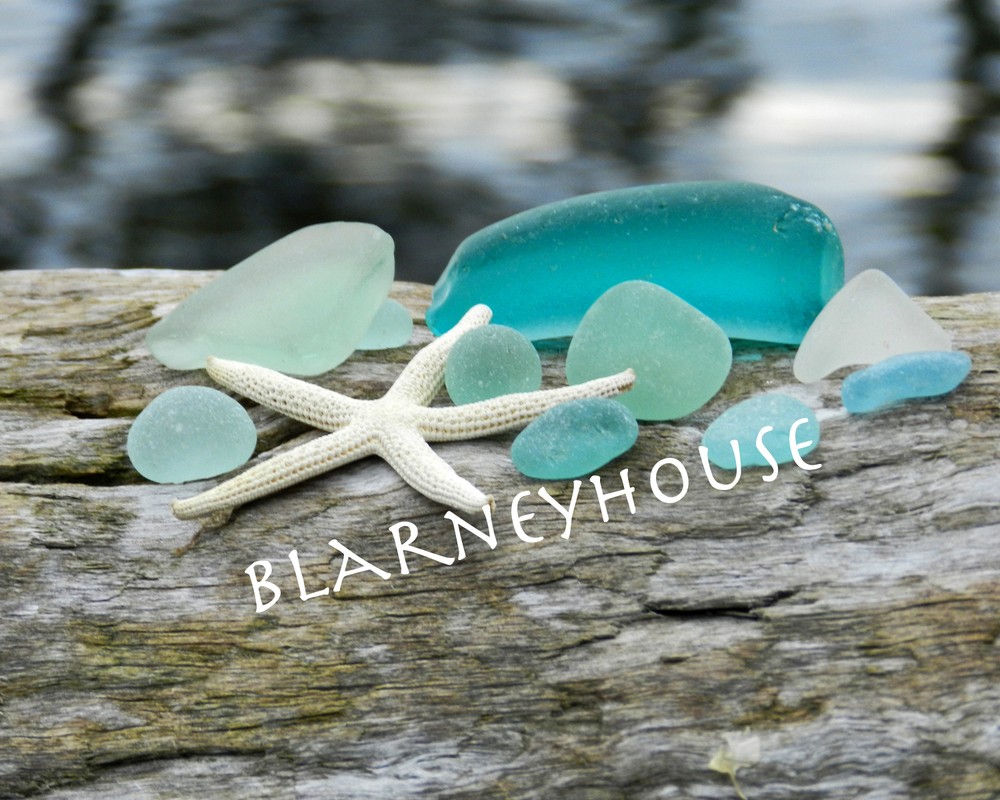 BEAUTIFUL PHOTO OF SEA GLASS ON DRIFTWOOD!