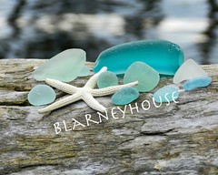 BEAUTIFUL PHOTO OF SEA GLASS ON DRIFTWOOD!