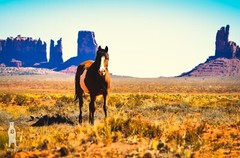 Monument Valley Horse – Utah Fine Art Photography by Bear8Photo – Desert Décor