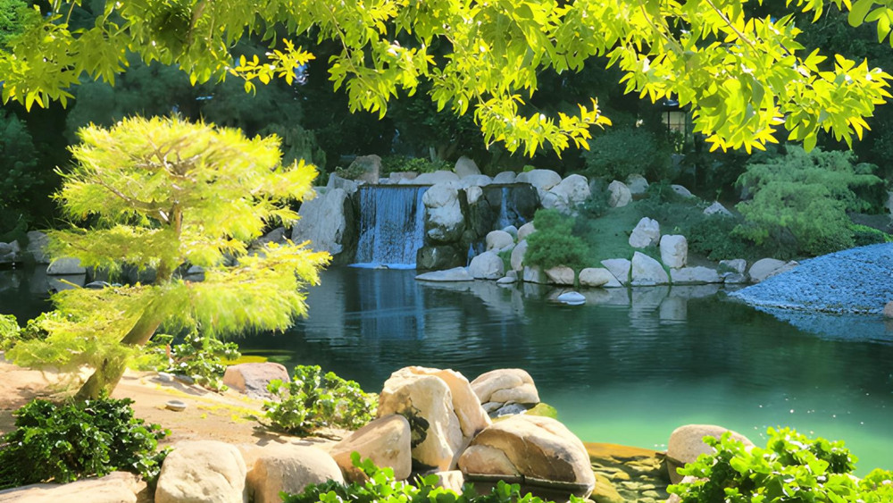 Digital Image Picture Photo Wallpaper Background Desktop Art