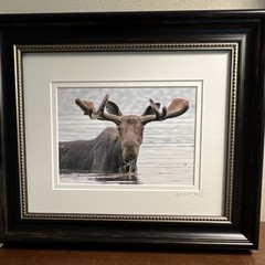 Lori A. Davis Signed Framed ‘Milton’ Moose Wildlife Giclée Photograph Color