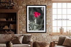 Flower Photography Print – Vertical Picture of Rose in Oklahoma