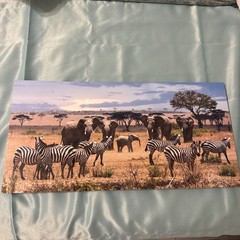 Paul Gruner elephant & zebra safari Metal Art Signed