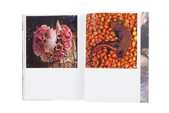 Tokyo 1970/2020 Japanese Photographers 9 Art Photography Box Set Japan 2013 Used