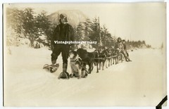 D5108 Foto Nord – Amerika Trapper Mountain Men Schlittern – Hund Indianer
