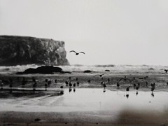 5 by 7 Black and White 35mm Film Photography Hand Made Darkroom Print Bandon OR
