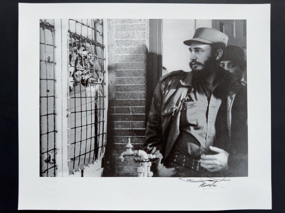 Fidel Castro and the Caged Tiger – Symbolic Moment by Korda Vintage Print