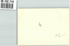 38132719 – A sad looking bear in his enclosure polar bear