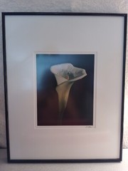 BLACKWATER PHOTOGRAPHY SINDED P. RIMSER PHOTO OF LILIE GLASS FRAMED16 BY 20 INCH