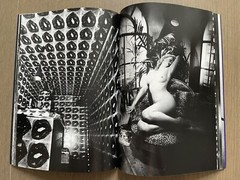 Super RARE! Signed! Daido Moriyama: it, 2006 Tokyo: Rat Hole Gallery Kitamura