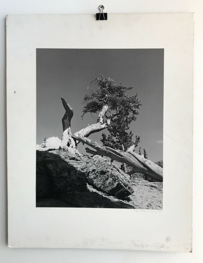 Carl Brandauer Photograph Black and White Landscape 1971 Boulder Colorado