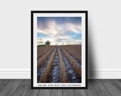 Farm Photography Print – Picture of Soybean Field Leading to Sky in Nebraska