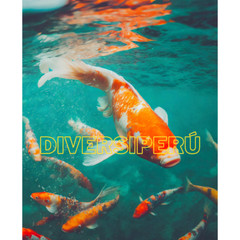Digital Image nature Photo Wallpaper Background AI ART Fish Koi