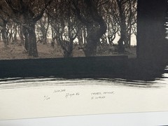 Dick Arentz, Trees, Pedine, S. Wales, 1986, Palladium / Platinum Print