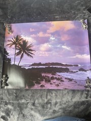 Tropical Sunset Ocean Palm Tree Landscape Brad Wagner 18×22