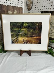 Jerry Jernigan Photography Framed And Matted “ Tranquility “ Creek With Ducks