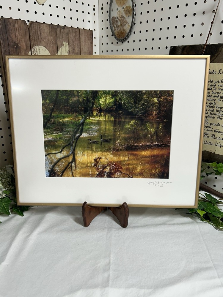 Jerry Jernigan Photography Framed And Matted “ Tranquility “ Creek With Ducks