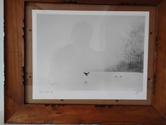 Signed Limited Edition Art Print By Cory James Titled «Through The Fog» Framed.