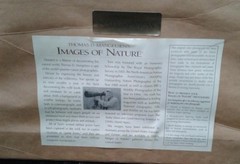 Thomas Mangelsen Polar Bear Limited Edition Photo Print 223/3500 1992