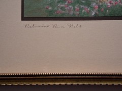 PETUNIAS RUN WILD Wallace Nutting Hand-tinted Photograph BRILLIANT Unfaded Color