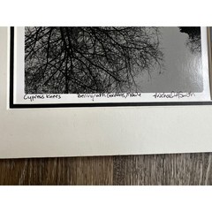 Michael A Smith Photograph Art 11×14 B&W Signed Cypress Knees Bellingrath garden
