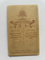 orig. CDV photo photograph child children around 1877 Pilsen Roskota