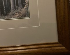 THOMAS D MANGELSEN Original Photograph