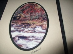 Lot of Vintage 3 – 5″ x 7″ Photographs by Barry Gamow Signed and Matted