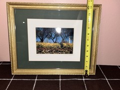 Daniele Piasecki Signed ‘Gold Burst’ Framed Landscape Photograph 16×12