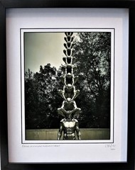 Limited Edition Signed Architectural Framed Photography by C. Damien Fox