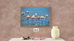 Wild Flamingoes, High Resolution Image, Many Formats, TV Art