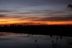 Sunrise or Sunset Photo, Pick One Image – Various Sizes