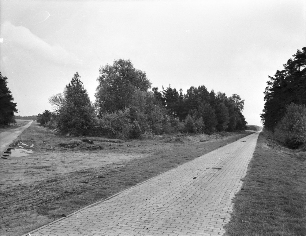 Old negative 2724 Hellwege approx. 6×8 cm collection resolution medium format-ms4915i